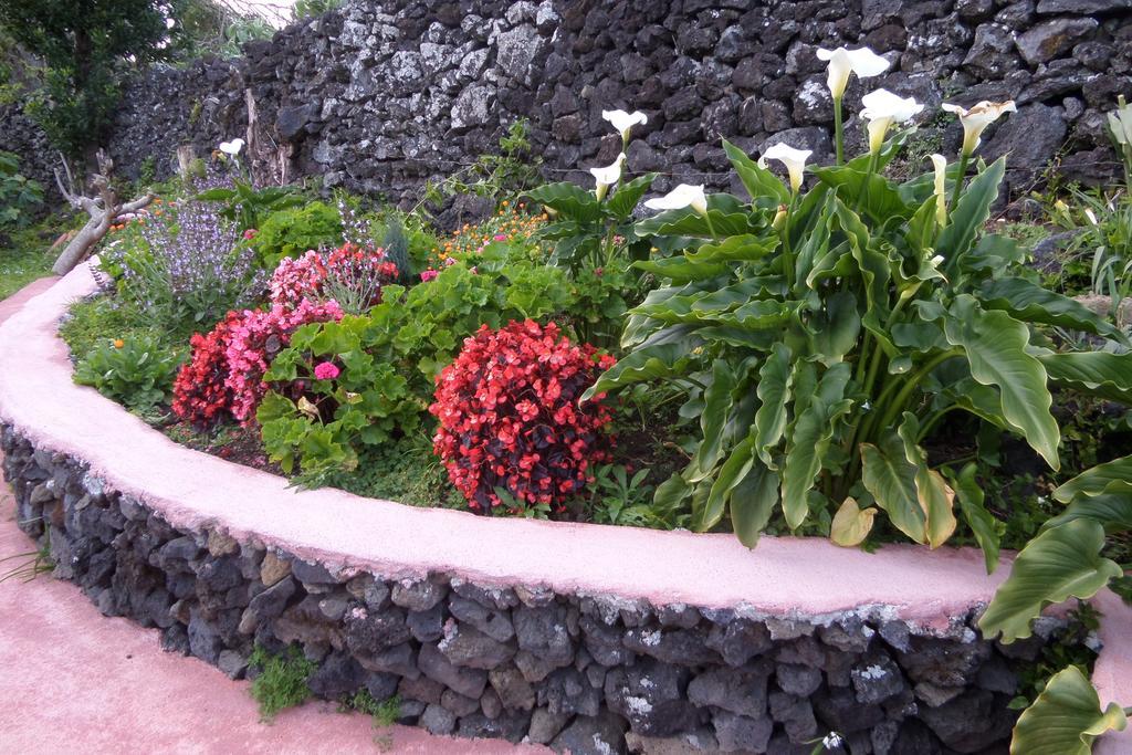 Quinta dos Sentidos , Rustic Holiday Houses in São Vicente Ferreira Açores Exterior foto